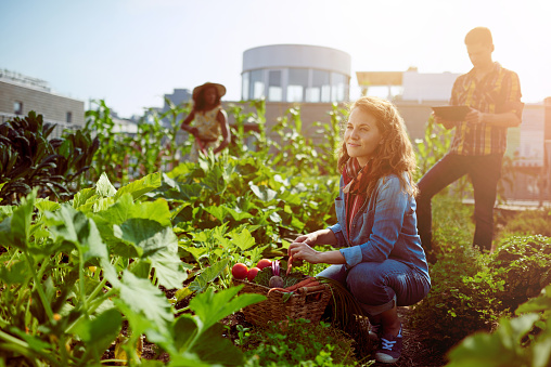 Farming