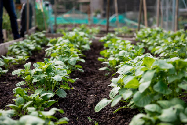 Gardening1