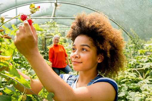 gardening