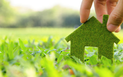 Eco-Friendly Living: How to Reduce Your Carbon Footprint